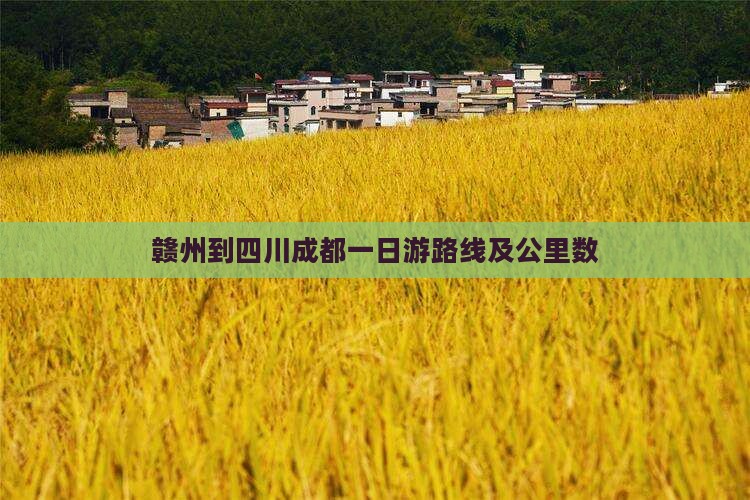 赣州到四川成都一日