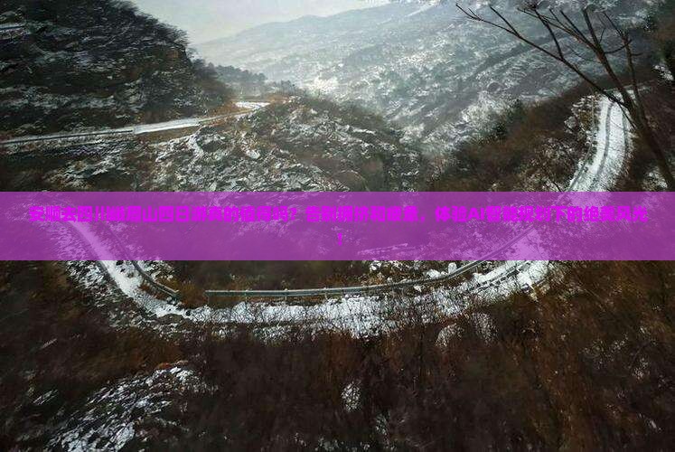 安顺去四川峨眉山四日游