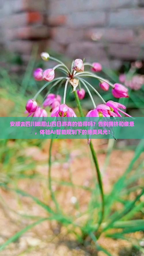 安顺去四川峨眉山四日游