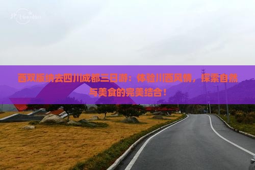 西双版纳去四川成都三日游