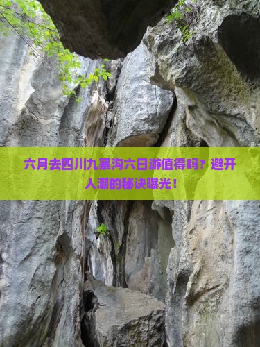 六月去四川九寨沟六日游 六月去四川九寨沟六日游