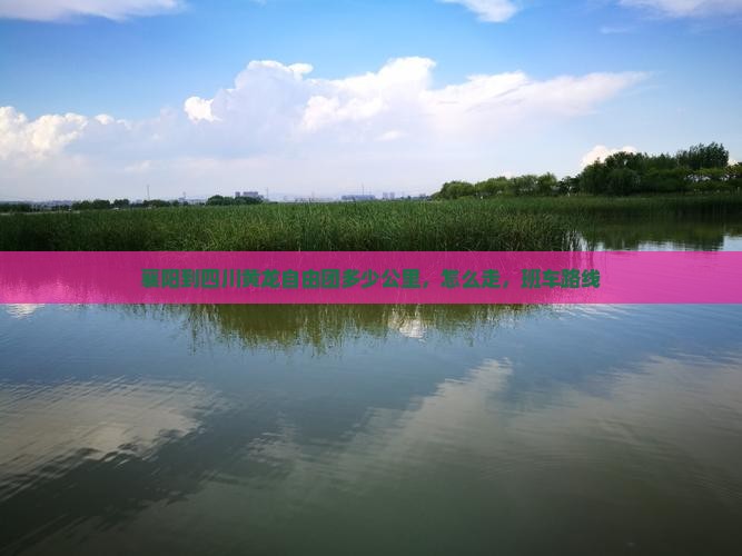 襄阳到四川黄龙自由团