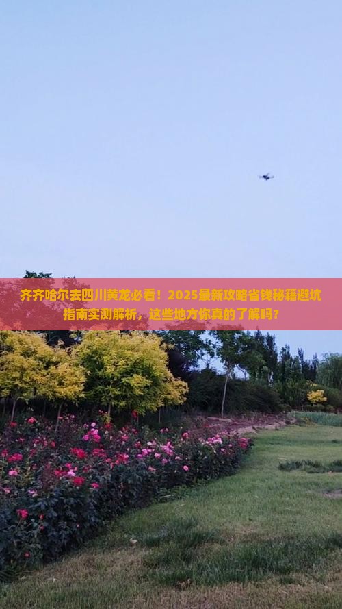 齐齐哈尔去四川黄龙旅行社