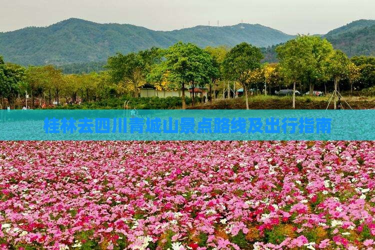 桂林去四川青城山景点