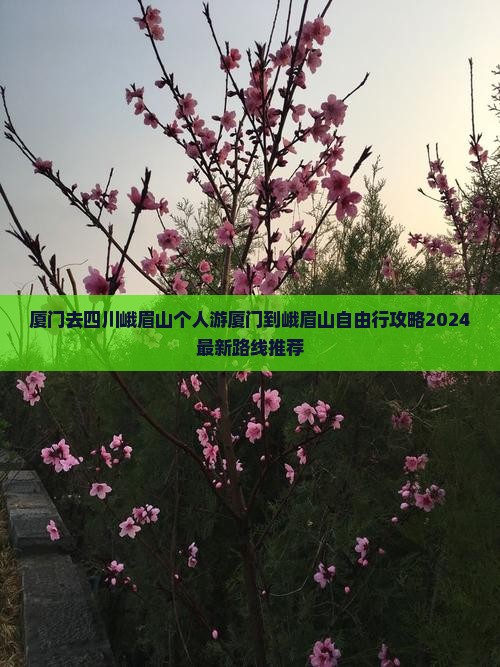 厦门去四川峨眉山个人游