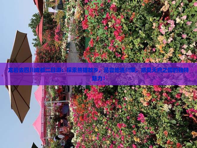 龙岩去四川成都二日游