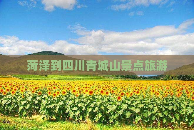 菏泽到四川青城山大型旅游团