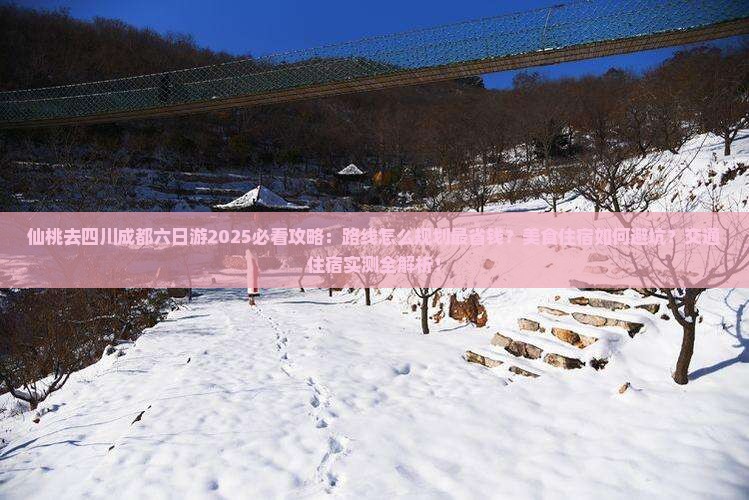仙桃去四川成都六日游