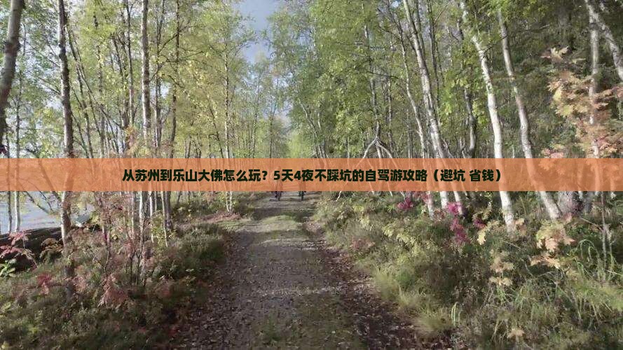 苏州到四川乐山大佛个人游