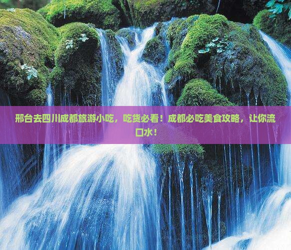 邢台去四川成都旅游小吃