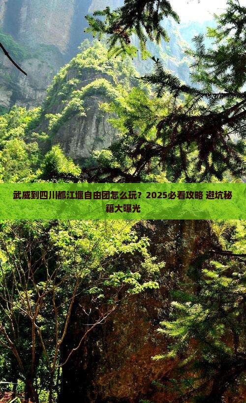 武威到四川都江堰自由团