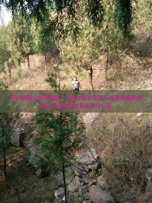 四川峨眉山旅游攻略:崇左出发咨询旅行社费用看看成都乐山西双版纳景点旅行公司 四川峨眉山旅游攻略:崇左出发咨询旅行社费用看看成都乐山西双版纳景点旅行公司