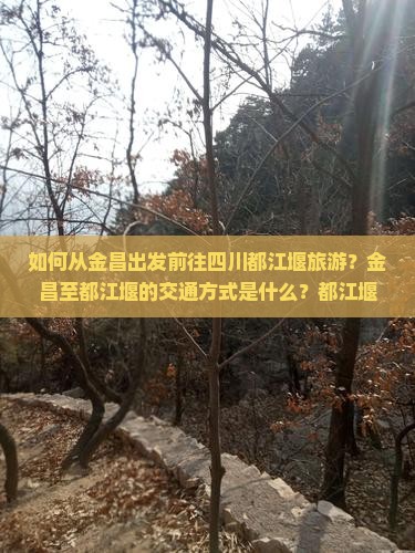 如何从金昌出发前往四川都江堰旅游？金昌至都江堰的交通方式是什么？都江堰有哪些必游景点与住宿建议？