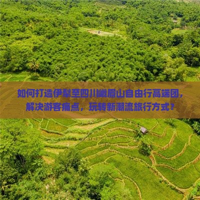 如何打造伊犁至四川峨眉山自由行高端团，解决游客痛点，玩转新潮流旅行方式？
