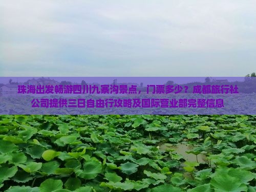 珠海出发畅游四川九寨沟景点，门票多少？成都旅行社公司提供三日自由行攻略及国际营业部完整信息