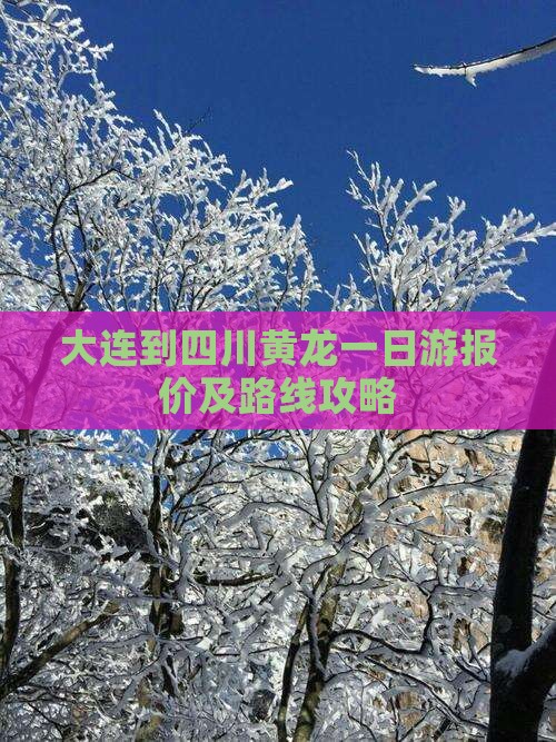 大连到四川黄龙一日游报价及路线攻略
