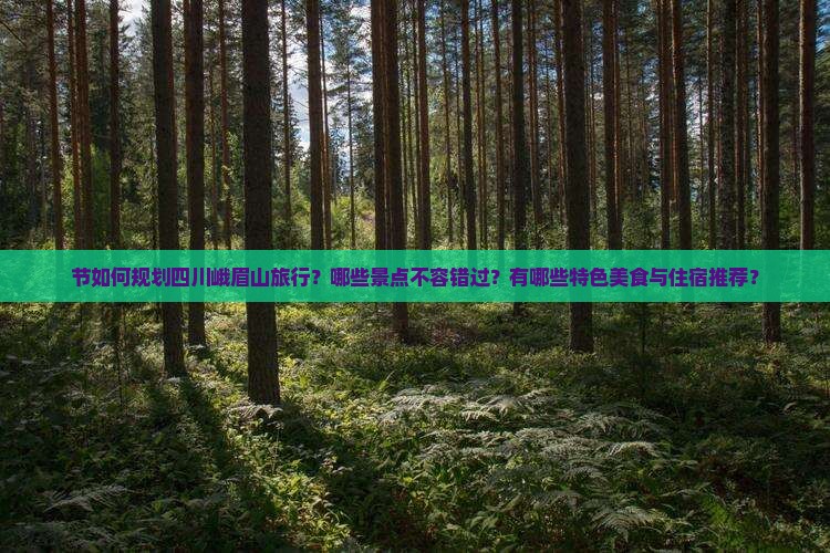 节如何规划四川峨眉山旅行？哪些景点不容错过？有哪些特色美食与住宿推荐？