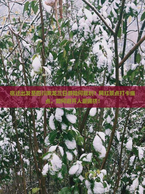 宿迁出发至四川黄龙三日游如何规划？网红景点打卡痛点，如何避开人潮拥挤！