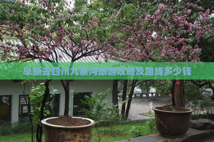阜新去四川九寨沟旅游攻略及路线多少钱