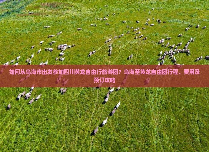 如何从乌海市出发参加四川黄龙自由行旅游团？乌海至黄龙自由团行程、费用及预订攻略