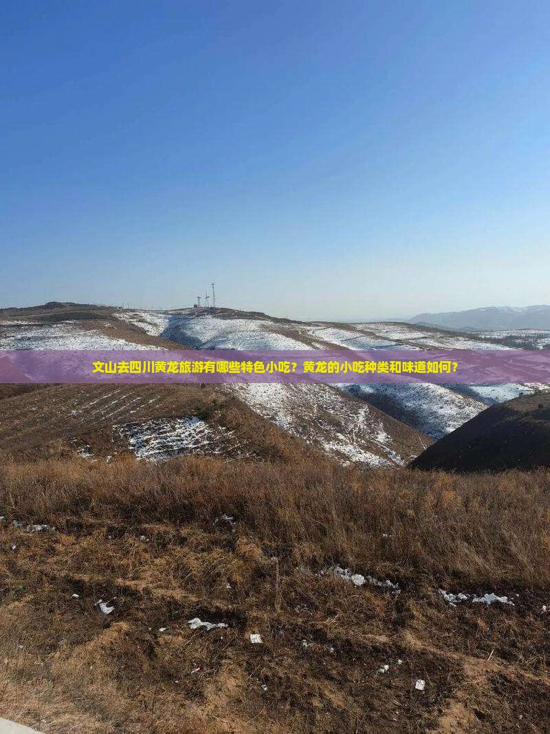 文山去四川黄龙旅游有哪些特色小吃？黄龙的小吃种类和味道如何？
