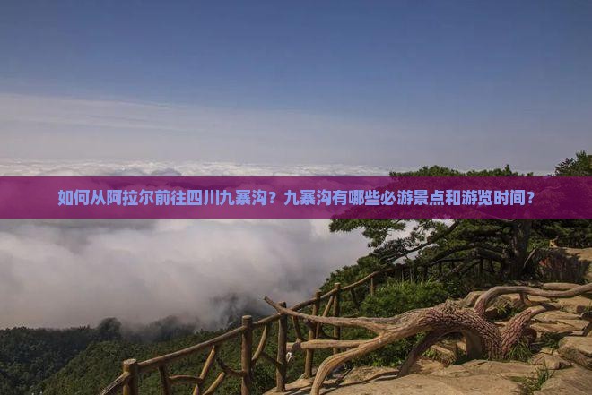 如何从阿拉尔前往四川九寨沟？九寨沟有哪些必游景点和游览时间？