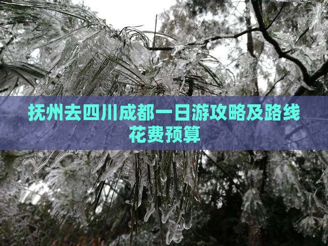 抚州去四川成都一日游攻略及路线花费预算