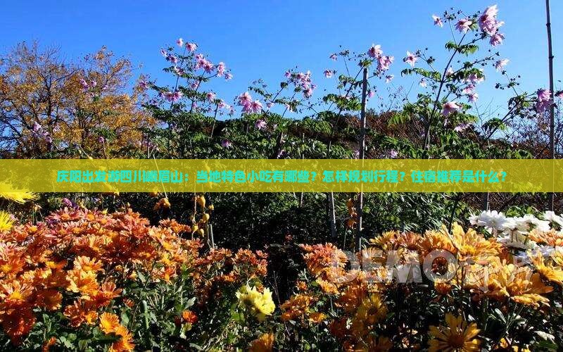 庆阳出发游四川峨眉山：当地特色小吃有哪些？怎样规划行程？住宿推荐是什么？