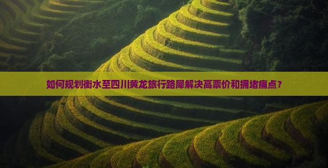 如何规划衡水至四川黄龙旅行路犀解决高票价和拥堵痛点？