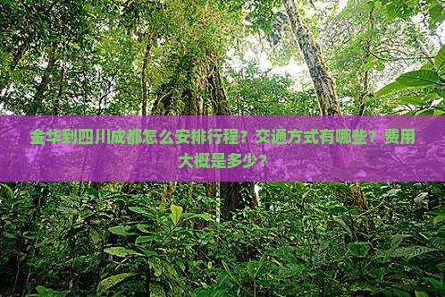 金华到四川成都怎么安排行程？交通方式有哪些？费用大概是多少？