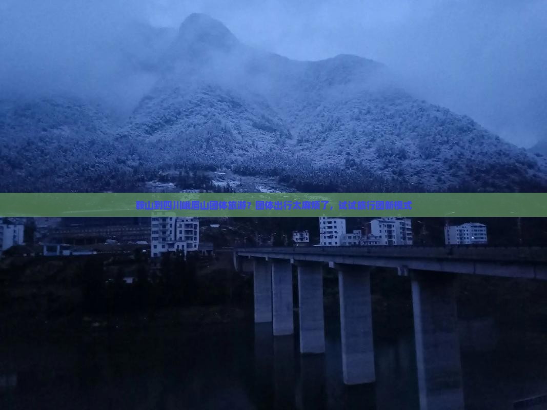鞍山到四川峨眉山团体旅游？团体出行太麻烦了，试试旅行团新模式