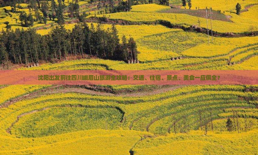 沈阳出发前往四川峨眉山旅游全攻略：交通、住宿、景点、美食一应俱全？