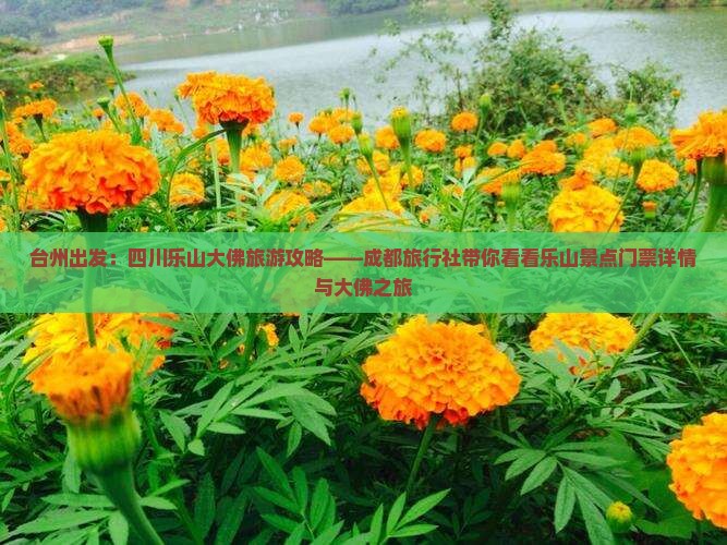 台州出发：四川乐山大佛旅游攻略——成都旅行社带你看看乐山景点门票详情与大佛之旅