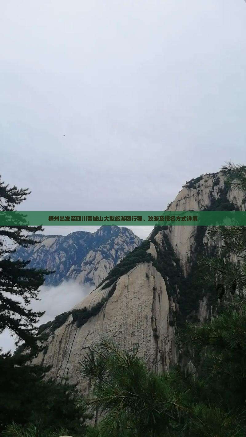 梧州出发至四川青城山大型旅游团行程、攻略及报名方式详解