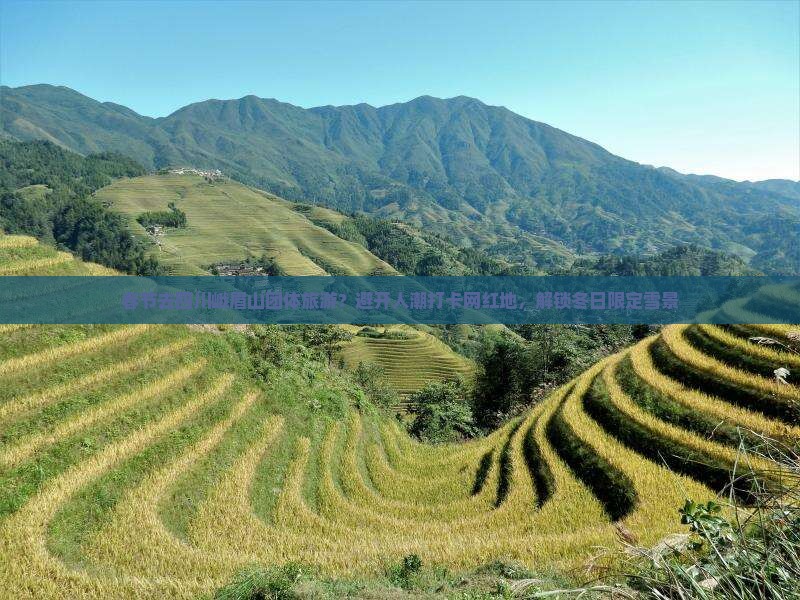 春节去四川峨眉山团体旅游？避开人潮打卡网红地，解锁冬日限定雪景