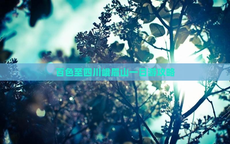 百色至四川峨眉山一日游攻略