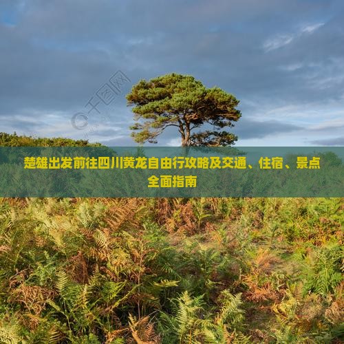 楚雄出发前往四川黄龙自由行攻略及交通、住宿、景点全面指南