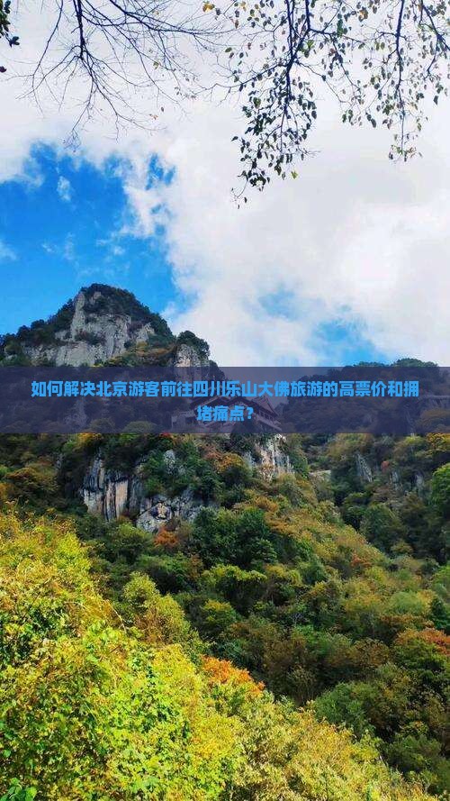 如何解决北京游客前往四川乐山大佛旅游的高票价和拥堵痛点？