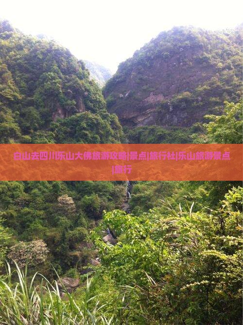 白山去四川乐山大佛旅游攻略|景点|旅行社|乐山旅游景点|旅行