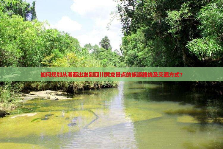 如何规划从湘西出发到四川黄龙景点的旅游路线及交通方式？
