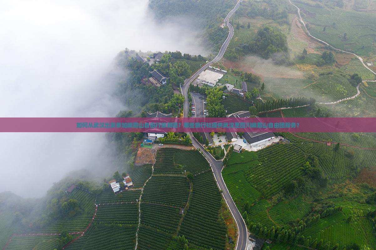 如何从武汉出发参加峨眉山自由行旅游团？哪些旅行社提供武汉至四川峨眉山自由团服务？