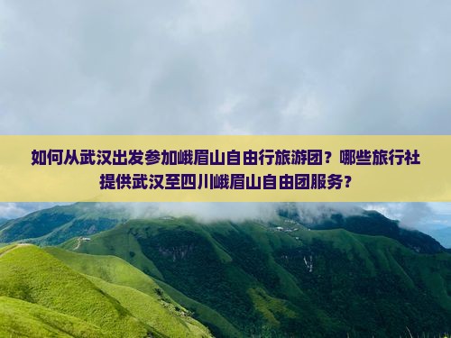 如何从武汉出发参加峨眉山自由行旅游团？哪些旅行社提供武汉至四川峨眉山自由团服务？
