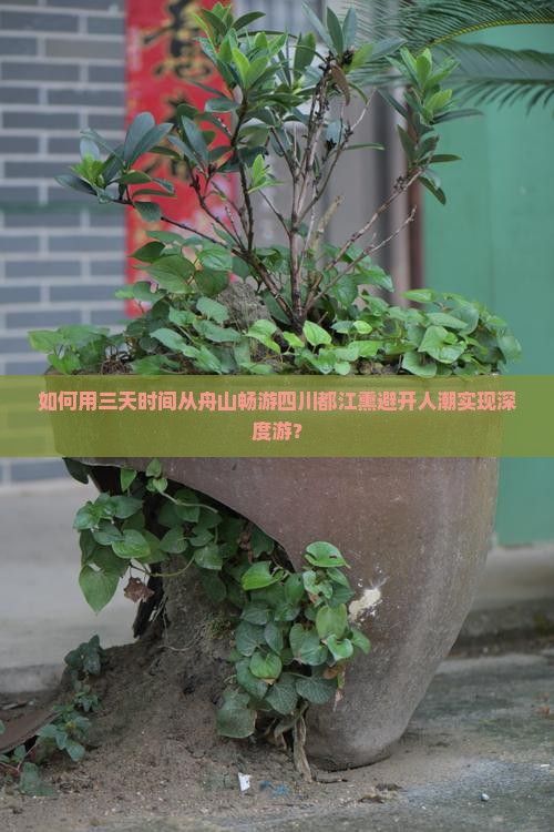 如何用三天时间从舟山畅游四川都江熏避开人潮实现深度游？