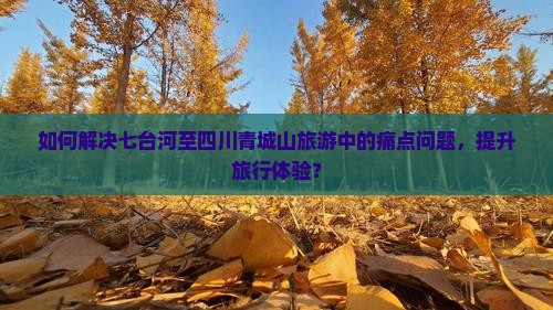 如何解决七台河至四川青城山旅游中的痛点问题，提升旅行体验？