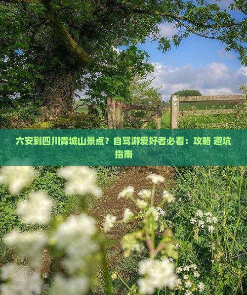 六安到四川青城山景点？自驾游爱好者必看：攻略+避坑指南