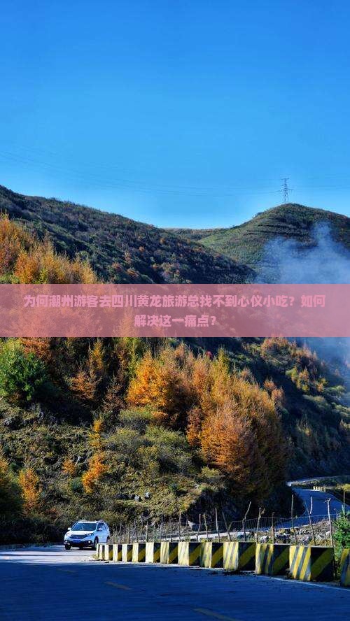 为何潮州游客去四川黄龙旅游总找不到心仪小吃？如何解决这一痛点？