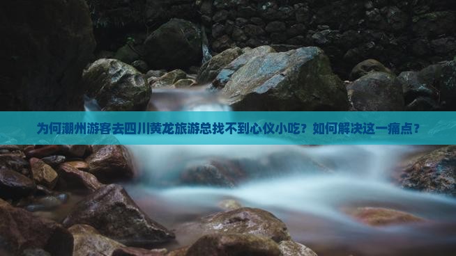 为何潮州游客去四川黄龙旅游总找不到心仪小吃？如何解决这一痛点？