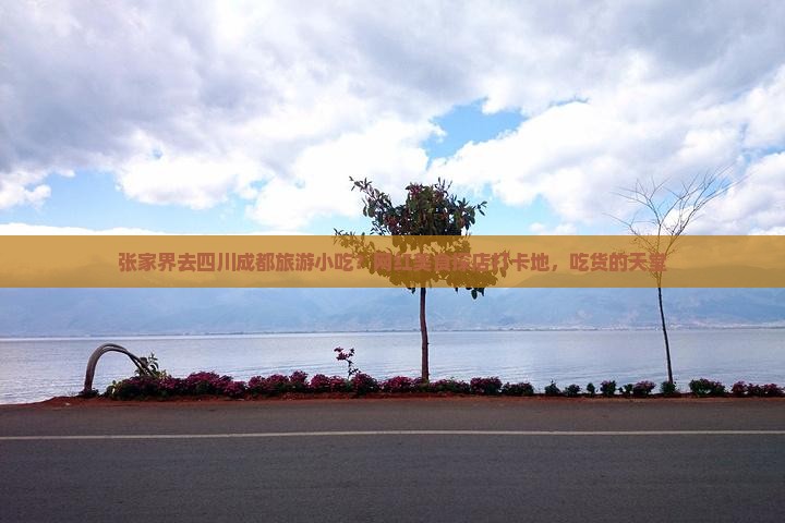 张家界去四川成都旅游小吃？网红美食探店打卡地，吃货的天堂