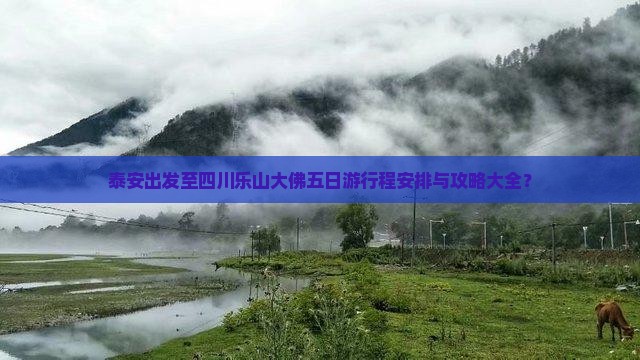 泰安出发至四川乐山大佛五日游行程安排与攻略大全？