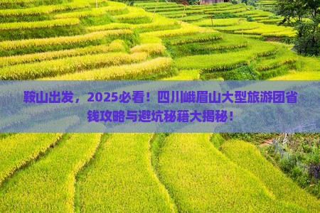 鞍山到四川峨眉山大型旅游团